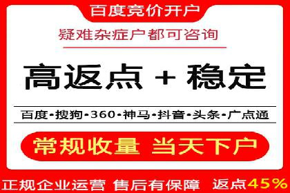 百度竞价排名机制：成功案例与策略探讨